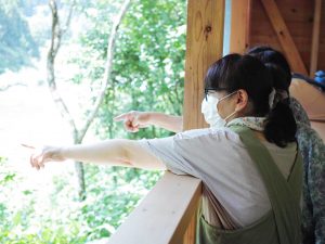 鮎の大群発見
