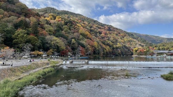 秋の京都、嵐山堪能ツアー