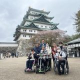 名古屋城と桜の絶景を愛でる会 Part2