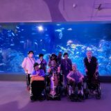 日本で唯一ジュゴンに会える水族館
