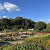 『あずねこちゃん』と行く。ぎふワールド・ローズガーデン