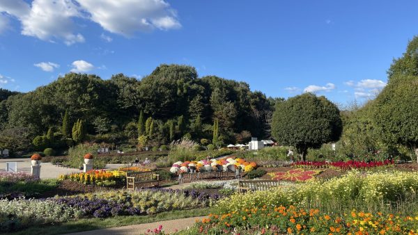 『あずねこちゃん』と行く。ぎふワールド・ローズガーデン